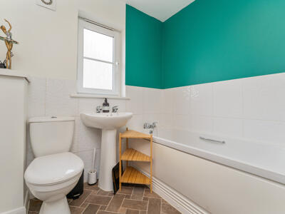 Picture 11